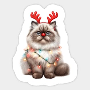 Christmas Red Nose Himalayan Cat Sticker